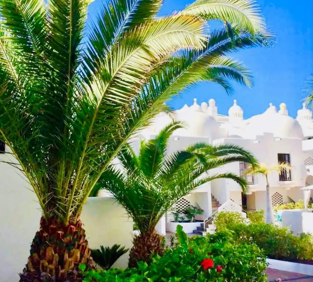Family Oasis - Oceanview Duplex, Heated Pool, Air Con Appartement Costa Adeje